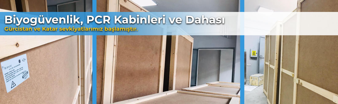 Gürcistan ve Katar'a Ürün Sevkiyatı